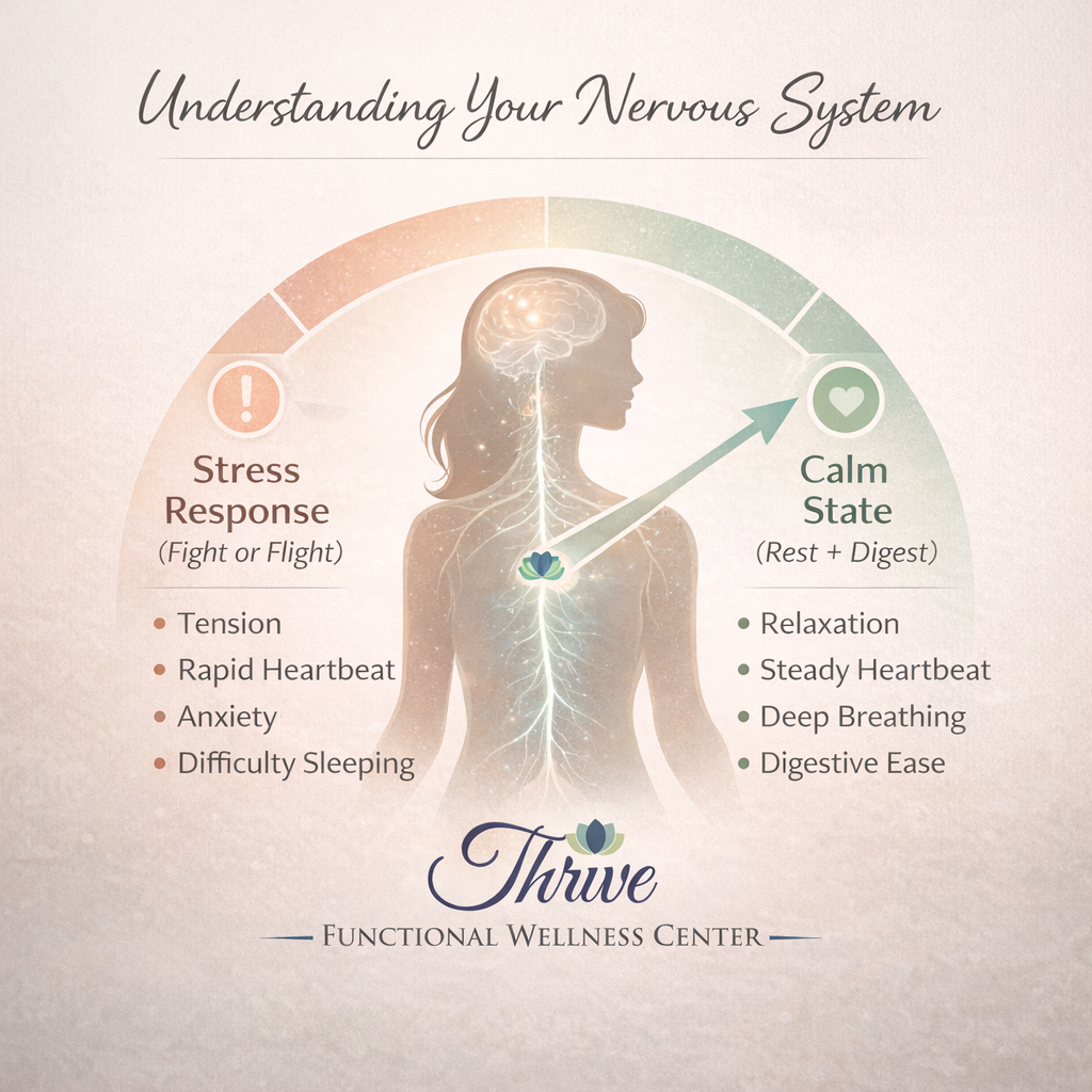 understanding your nervous system