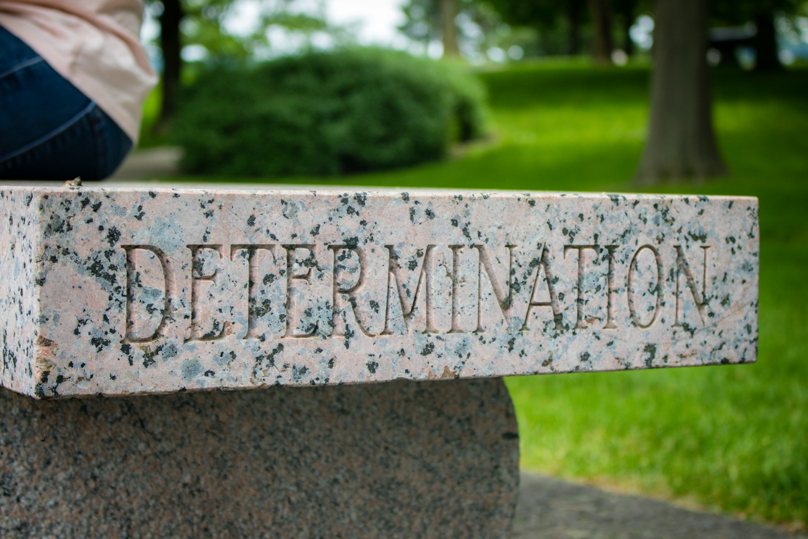 determination